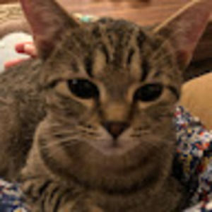 Meet your Posher, Alisha